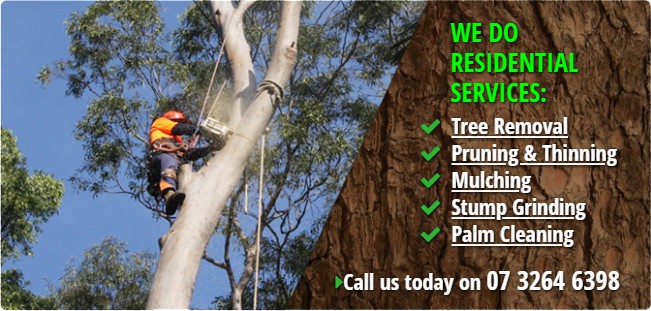 Residential tree services brisbane north.